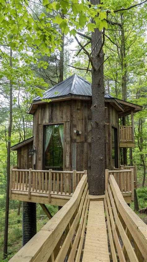 Make Thanksgiving Extra Special with an Enchanted Tree House Stay